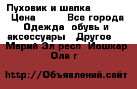 Пуховик и шапка  Adidas  › Цена ­ 100 - Все города Одежда, обувь и аксессуары » Другое   . Марий Эл респ.,Йошкар-Ола г.